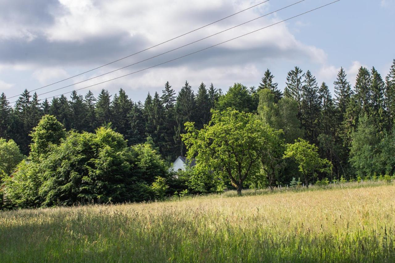 Apartmán Hajenka Kozlov Litomyšl Exteriér fotografie